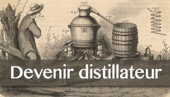 Devenir distillateur : les réglementations