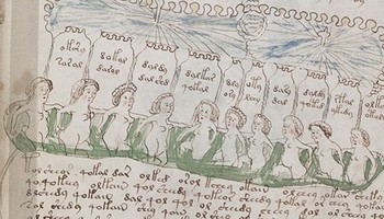 Le manuscrit de Voynich, une énigme cryptographique et alchimique