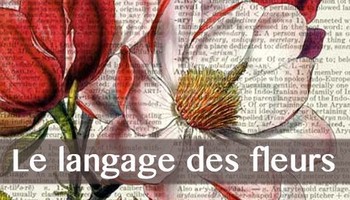 Le langage des fleurs, métaphore des passions humaines ?