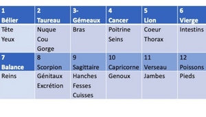 Les organes humains et les signes du zodiaque - BAGLIS TV